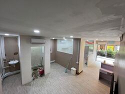 Tiong Bahru Orchid (D3), Shop House #558612931